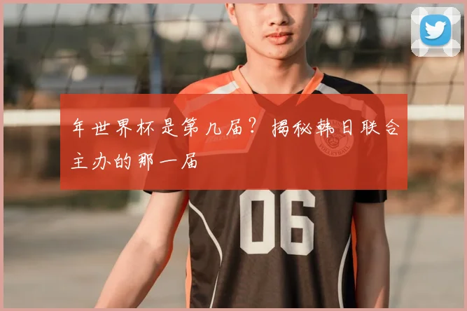 年世界杯是第几届?揭秘韩日联合主办的那一届