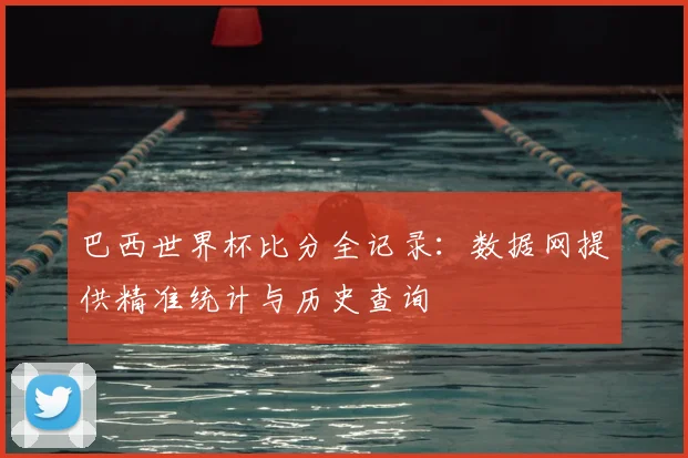 巴西世界杯比分全记录：数据网提供精准统计与历史查询
