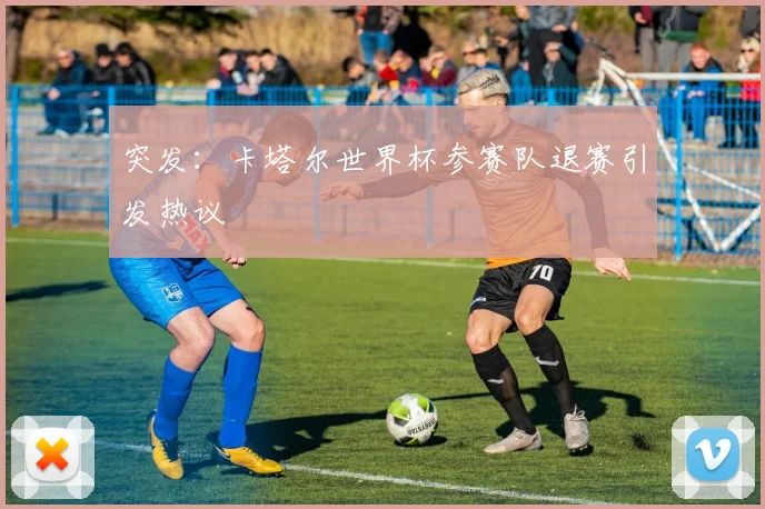 突发:卡塔尔世界杯参赛队退赛引发热议
