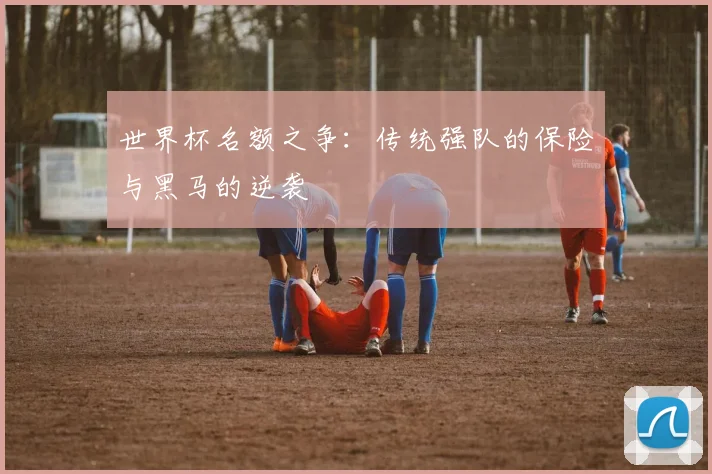 世界杯名额之争：传统强队的保险与黑马的逆袭