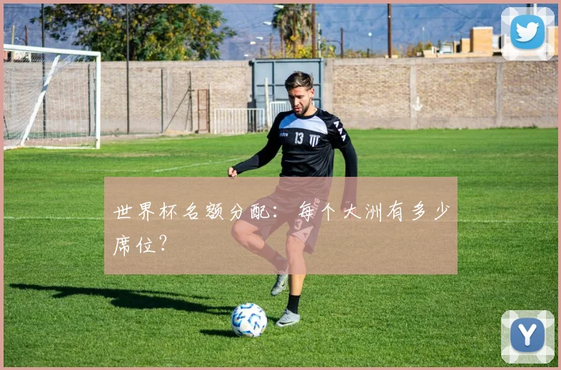 世界杯名额分配:每个大洲有多少席位?